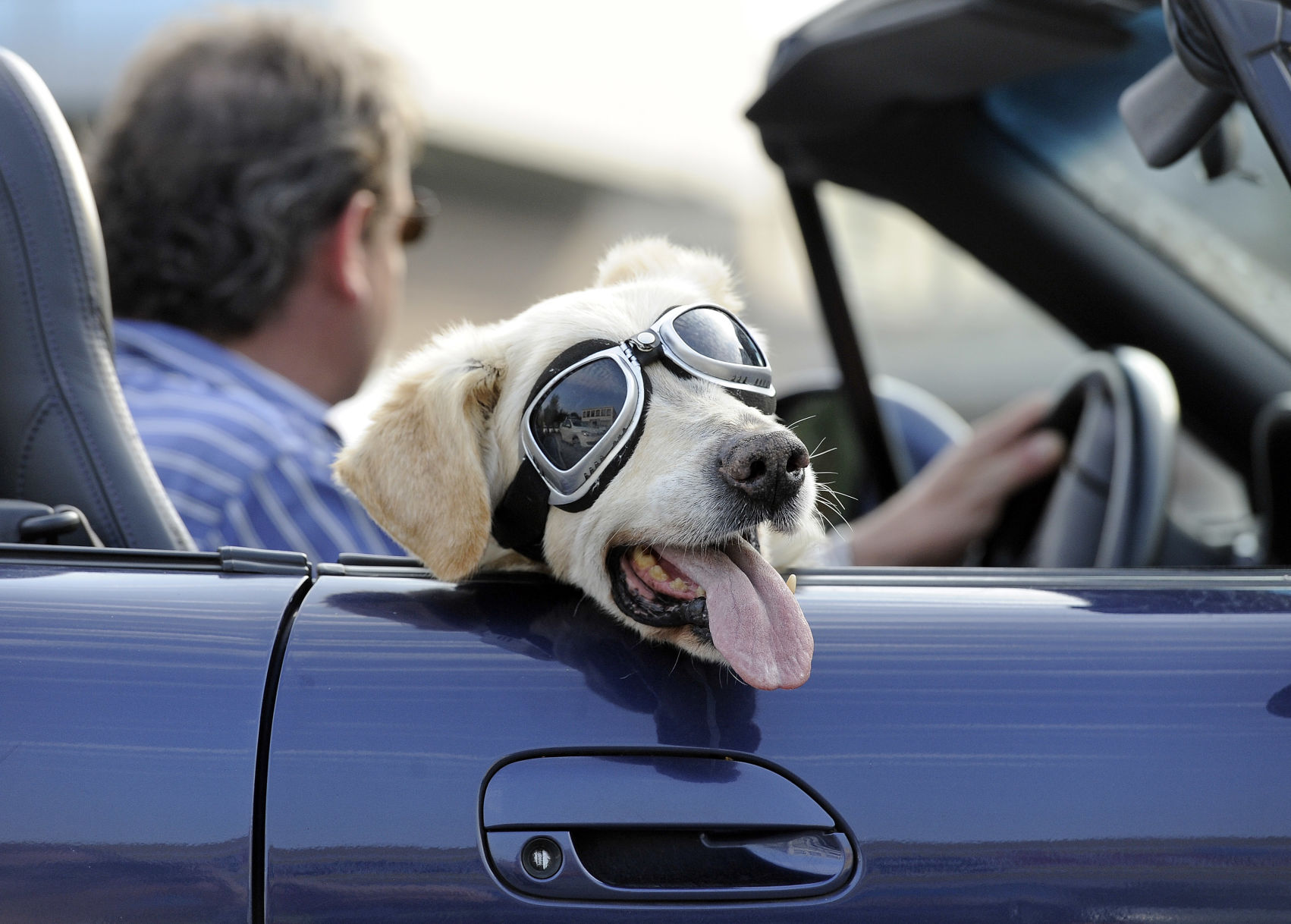 Car ride